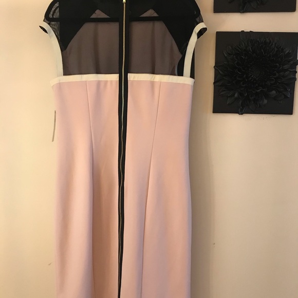 ❤️ Host Pick! Blush & black sheath dress with mesh - Picture 5 of 6